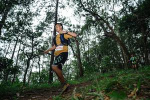 BIB: 530
                            <button type="button" onclick="openModal(22547599)" class="btn btn-primary btn-sm float-right btn-popup" data-toggle="modal" data-target=".modal-high-quality">
                        <i class="fas fa-shopping-cart"></i> Add to Cart
                    </button>
                                            <button type="button" onclick="isThisMe(22547599, true)" class="btn btn-success btn-sm float-right btn-popup btn-isme hidden" data-toggle="tooltip" data-placement="bottom" title="นี่คือรูปของคุณใช่ไหม คลิกที่นี่เพื่อเอาเข้าอัลบั้ม">
                        <i class="fas fa-plus"></i> Add to album
                    </button>
                    <button type="button" onclick="isThisMe(22547599, false)" class="btn btn-warning btn-sm float-right btn-popup btn-isnotme hidden">
                        <i class="fas fa-ban"></i> Remove from album
                    </button>